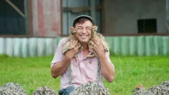 Сваты